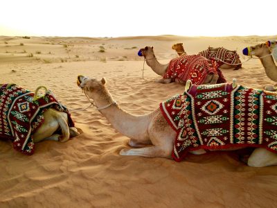 fernando-jorge-2dtvA_QgF6Q-unspl